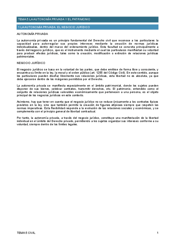 Miniatura del documento tema-5-civil.pdf