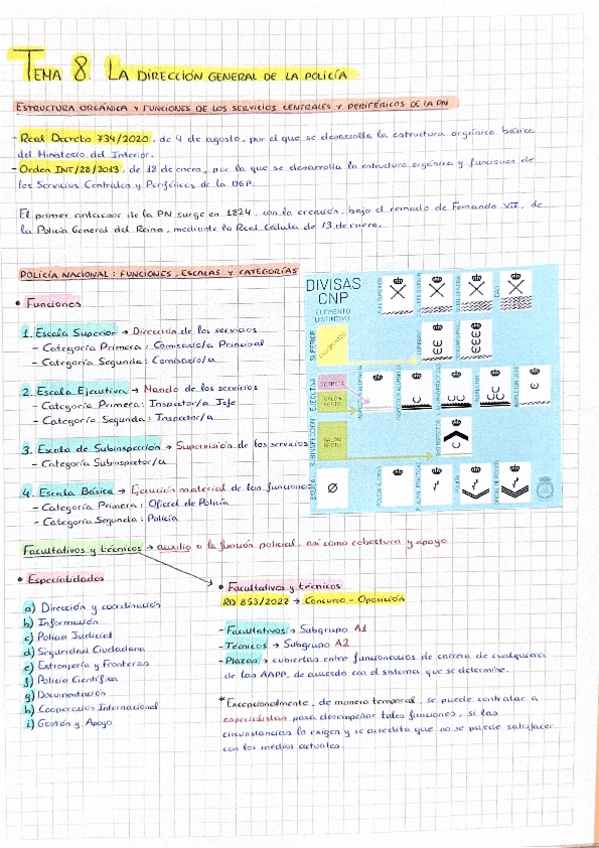 Miniatura del documento La-Direccion-General-de-la-Policia.pdf