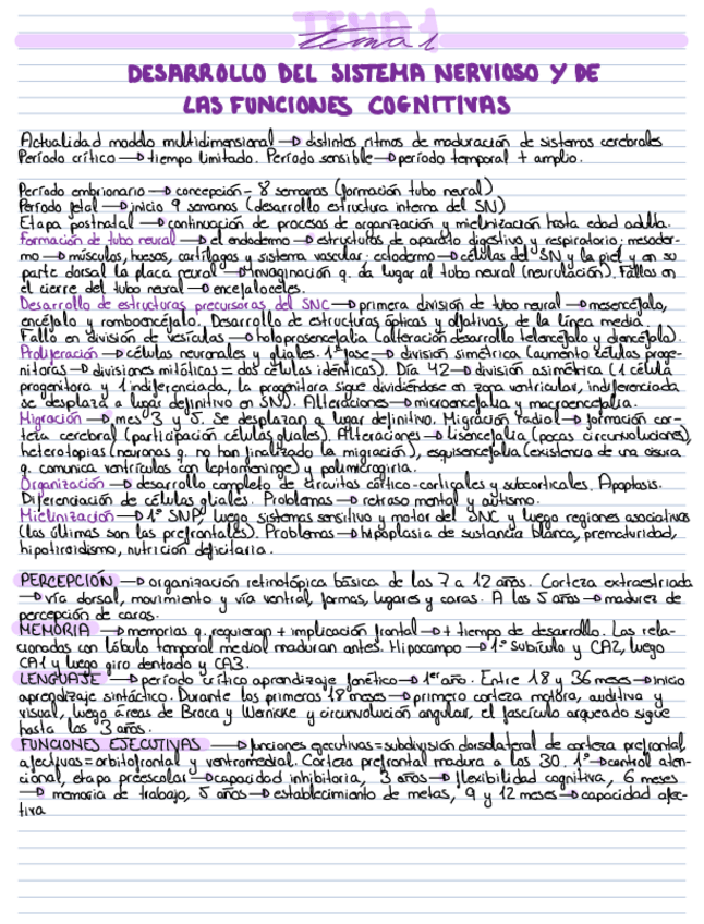 Miniatura del documento Esquema-T1.pdf