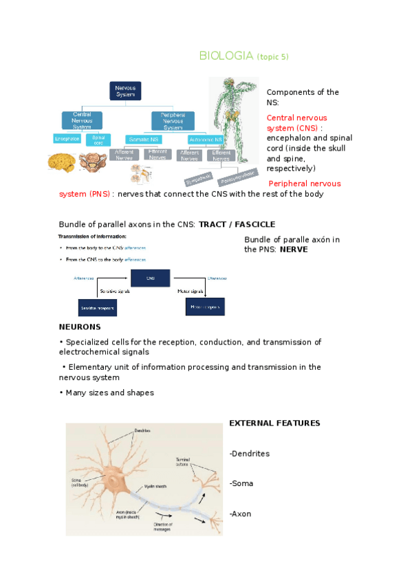 Miniatura del documento Topic-5.docx