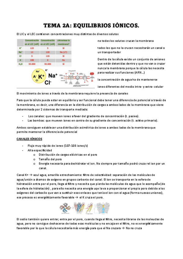 Miniatura del documento 2A-2B-euqilibrios-ionicos-potencial-de-membrana.pdf