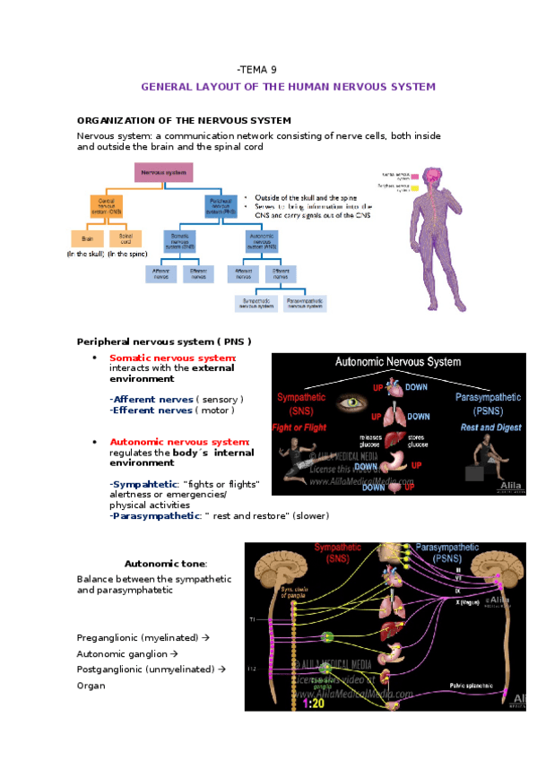 Miniatura del documento topic-9.docx