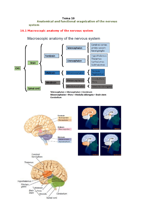 Miniatura del documento topic-10.docx