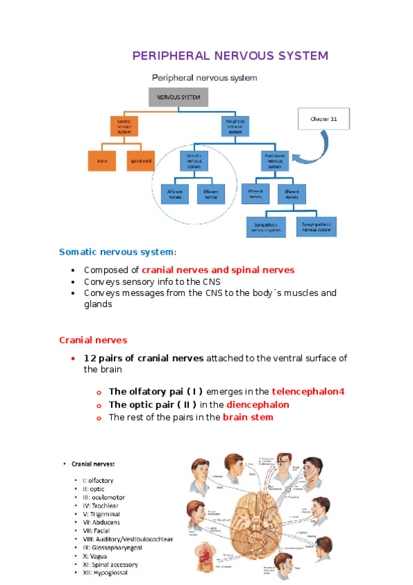 Miniatura del documento topic-11.docx