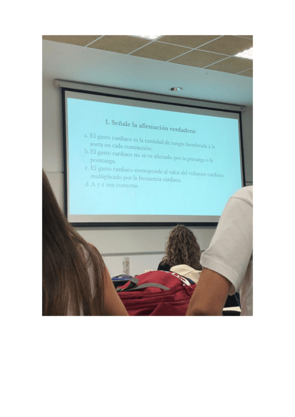 Miniatura del documento Preguntas.pdf