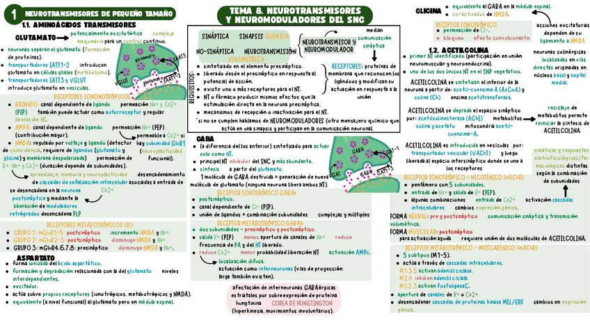 Miniatura del documento TEMA-8-NEURO-1-ESQUEMA.pdf