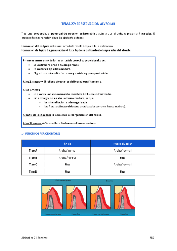 Miniatura del documento TEMA-27-PERIO.pdf