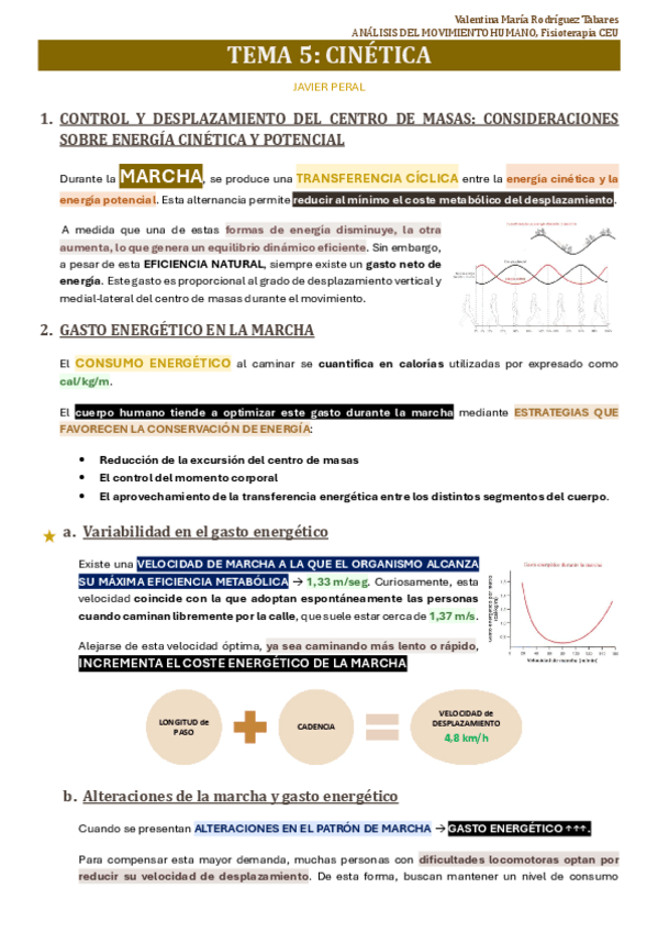 Miniatura del documento TEMA-5-AMO.pdf