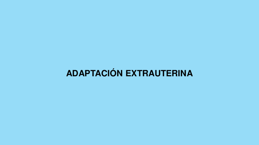 Miniatura del documento Adaptacion-extrauterina.pdf