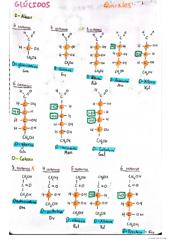 Miniatura del documento Glucidos-de-examen.pdf