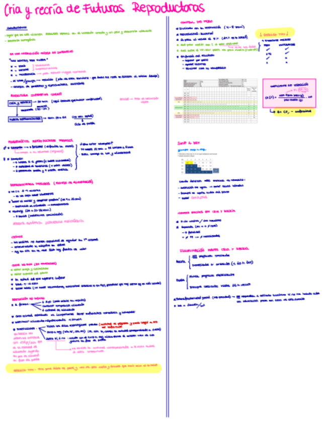 Miniatura del documento apuntes-tema-5.1-y-5.2-aves.pdf