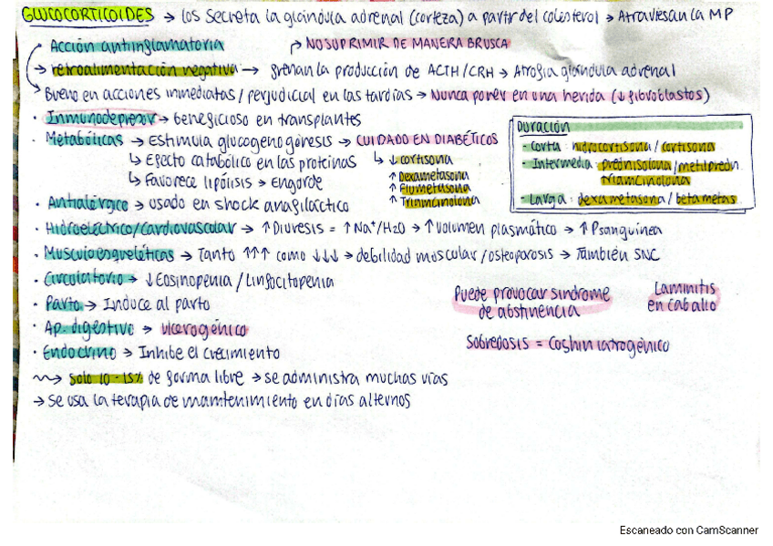 Miniatura del documento Parcial-1-sin-farmacocineticadinamia.pdf