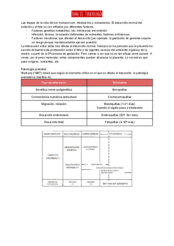 Miniatura del documento Tema-18-Teratologia.pdf