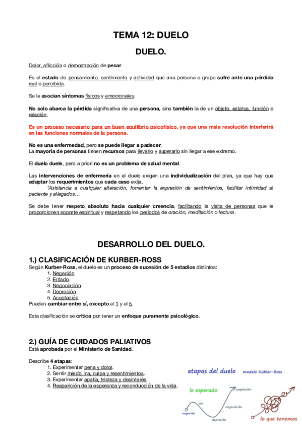 Miniatura del documento T.12-DUELO.pdf
