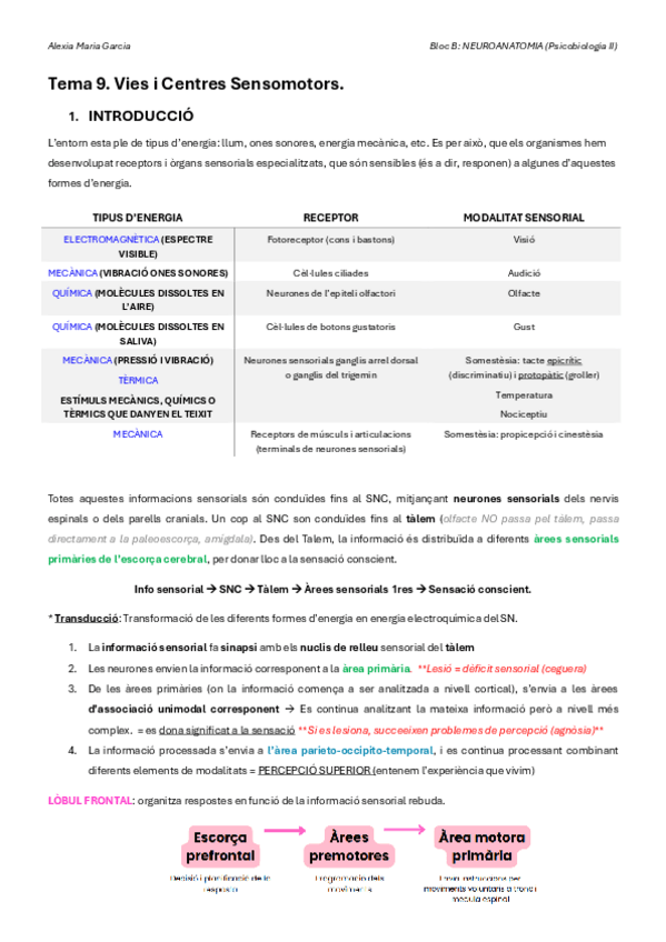 Miniatura del documento T9-NEUROANATOMIA.pdf