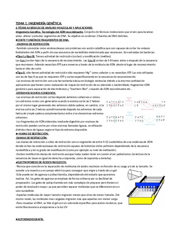 Miniatura del documento Tema_1-_genII.pdf