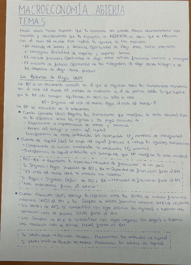 Miniatura del documento Apuntes-Macro-Abierta-TEMA-5.pdf