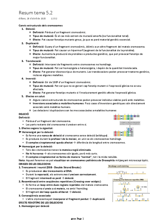 Miniatura del documento resum-tema-5.2.pdf