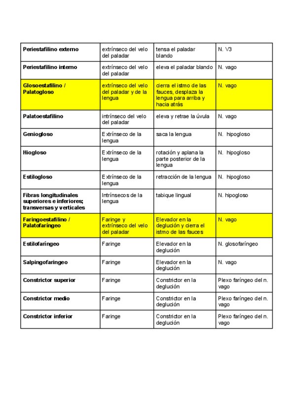 Miniatura del documento Musculos.pdf