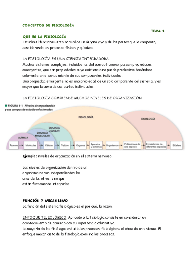 Miniatura del documento T.-1.pdf