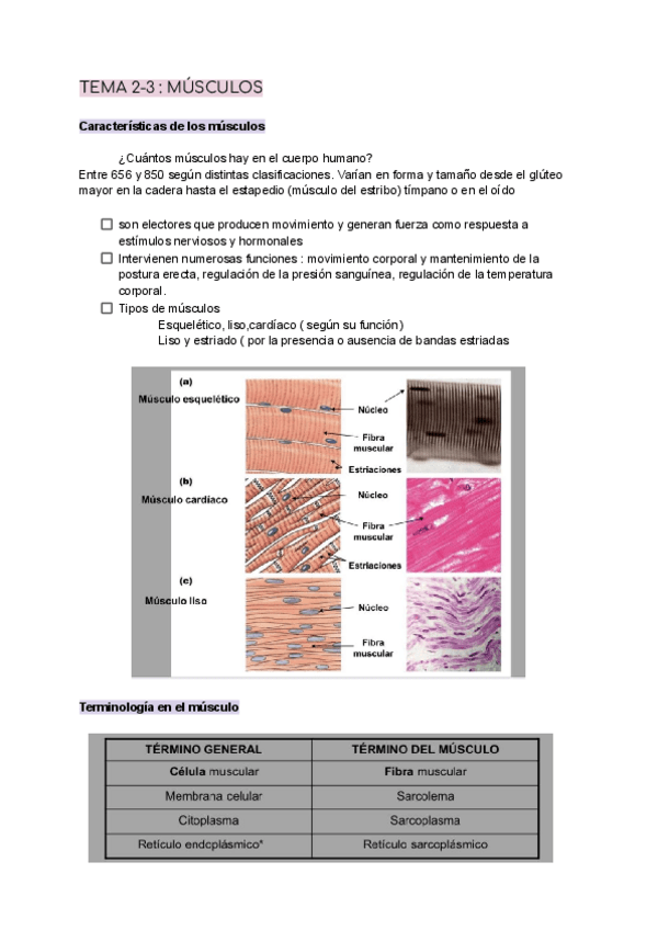 Miniatura del documento T.2-3.pdf