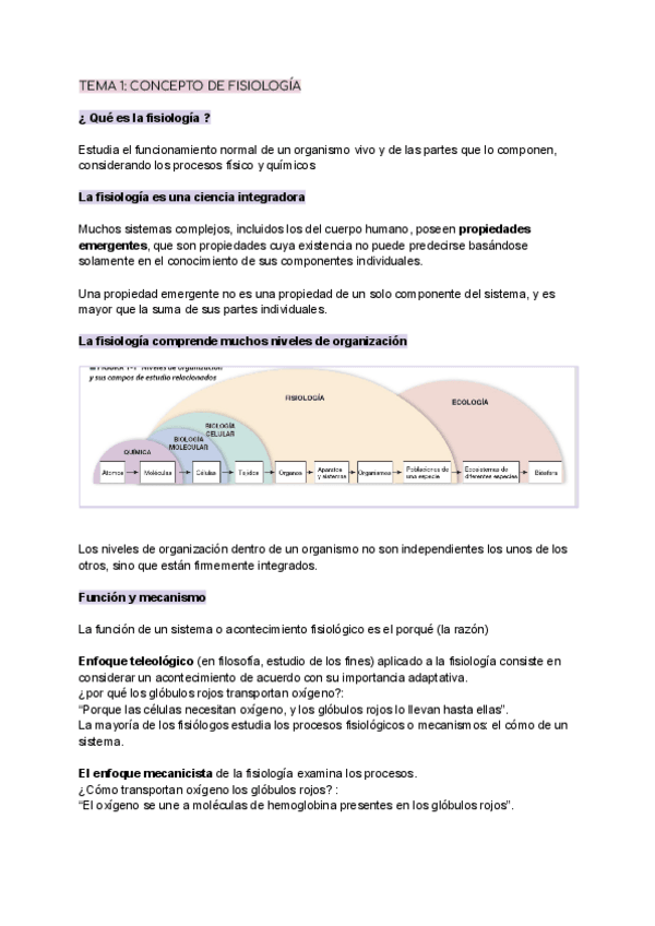 Miniatura del documento T.4.pdf