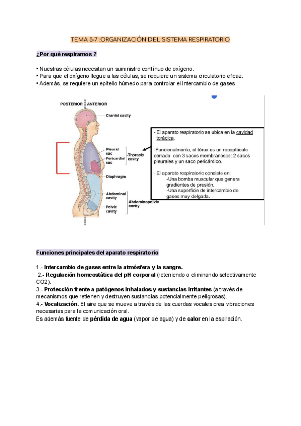 Miniatura del documento T.5-7.pdf
