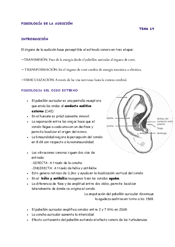 Miniatura del documento AP-T.19.pdf