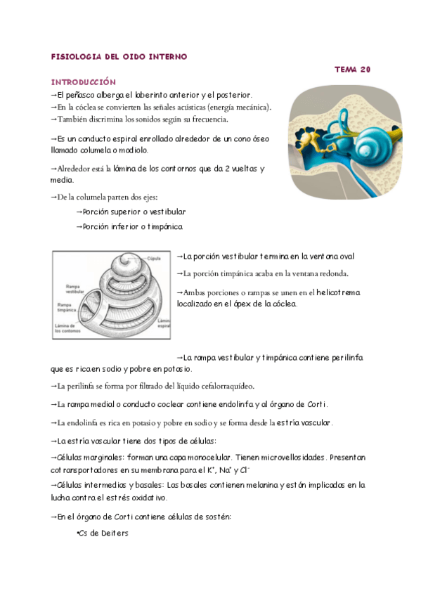 Miniatura del documento T.20.pdf