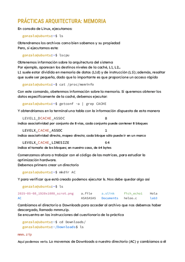 Miniatura del documento documento-explicativo-practicas-memoria.pdf