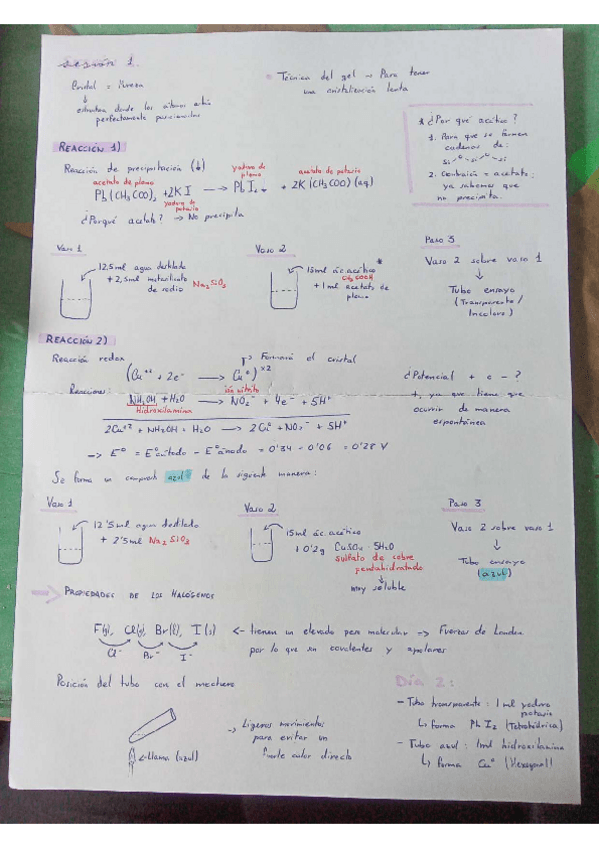 Miniatura del documento Practicas-inorganica.pdf