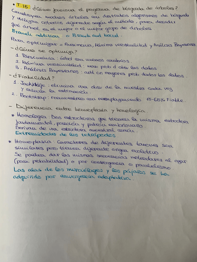 Miniatura del documento WhatsApp-Image-2025-05-08-at-18.08.45-1.jpeg