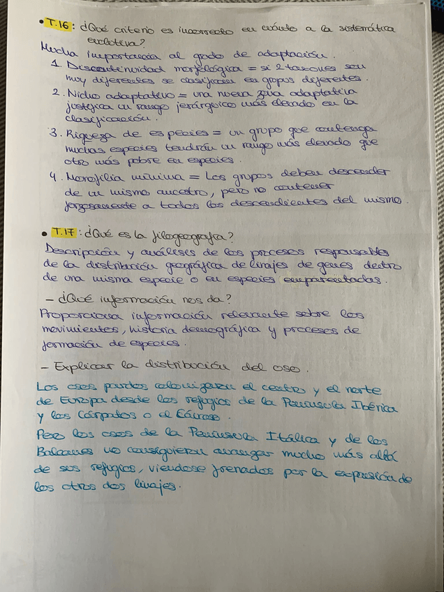 Miniatura del documento WhatsApp-Image-2025-05-08-at-18.08.45.jpeg