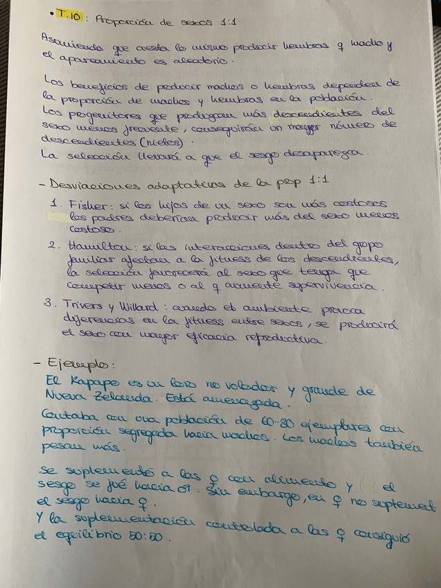 Miniatura del documento WhatsApp-Image-2025-05-08-at-18.08.44-2.jpeg