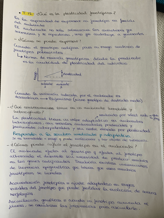 Miniatura del documento WhatsApp-Image-2025-05-08-at-18.08.44.jpeg