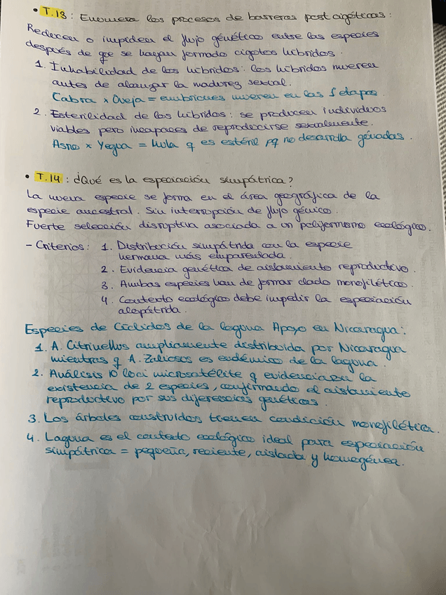 Miniatura del documento WhatsApp-Image-2025-05-08-at-18.08.43-1.jpeg