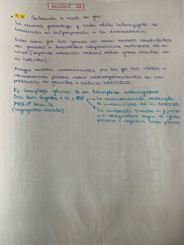 Miniatura del documento WhatsApp-Image-2025-05-08-at-18.08.43.jpeg