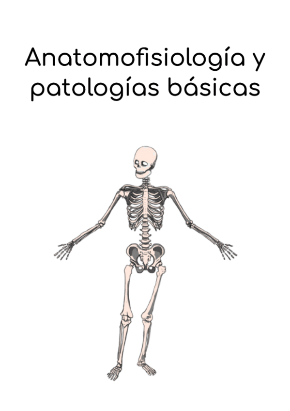 Miniatura del documento Anatomia.pdf