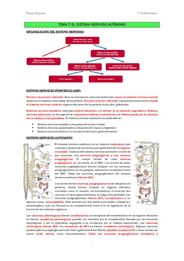 Miniatura del documento Resumen-T.7-El-sistema-nervioso-autonomo.pdf