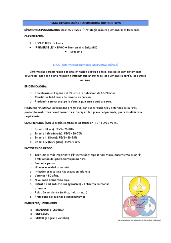 Miniatura del documento TEMA-20-PATOLOGIAS-RESPIRATORIAS-OBSTRUCTIVAS.APUNTES.pdf