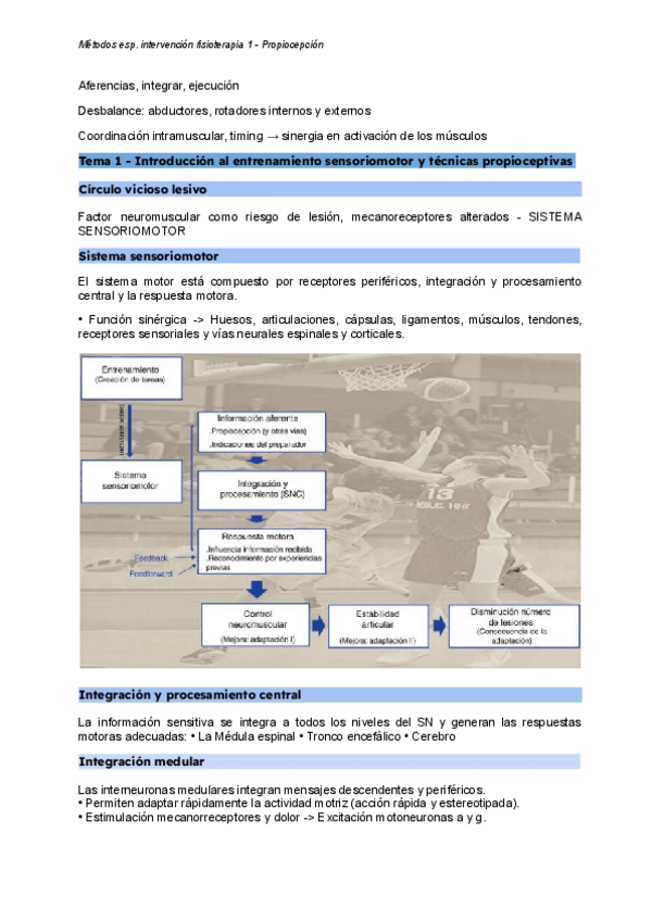 Miniatura del documento Metodos-1-propio-y-vendajes.pdf
