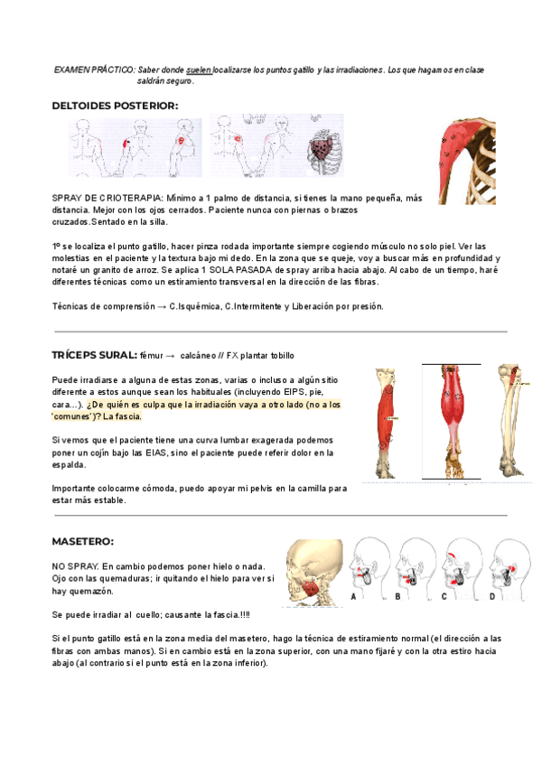 Miniatura del documento Cyriax.pdf