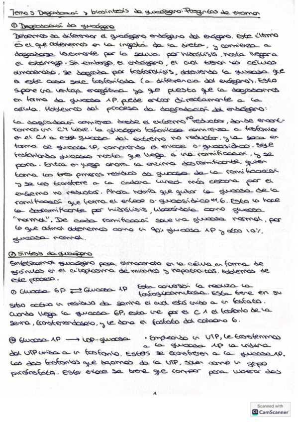 Miniatura del documento preguntas-TEMA-5-bioquimica-ii-resueltas.pdf