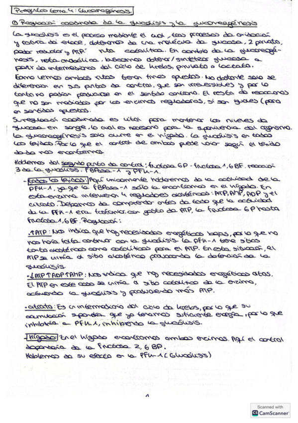 Miniatura del documento preguntas-TEMA-4-bioquimica-ii-resueltas.pdf