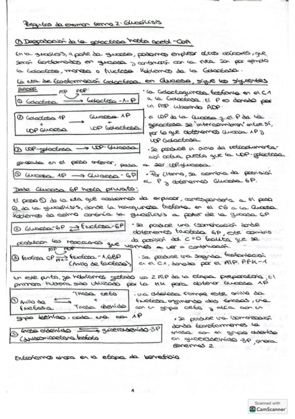 Miniatura del documento preguntas-TEMA-2-bioquimica-ii-resueltas.pdf