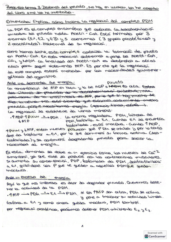 Miniatura del documento preguntas-TEMA-3-bioquimica-ii-resueltas.pdf