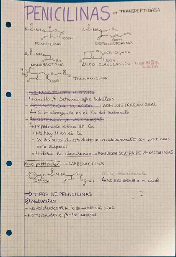 Miniatura del documento TEMA-8-Penicilinas.pdf