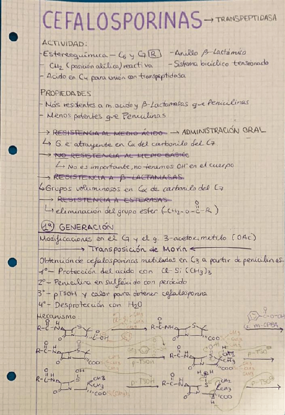 Miniatura del documento TEMA-8.2.pdf