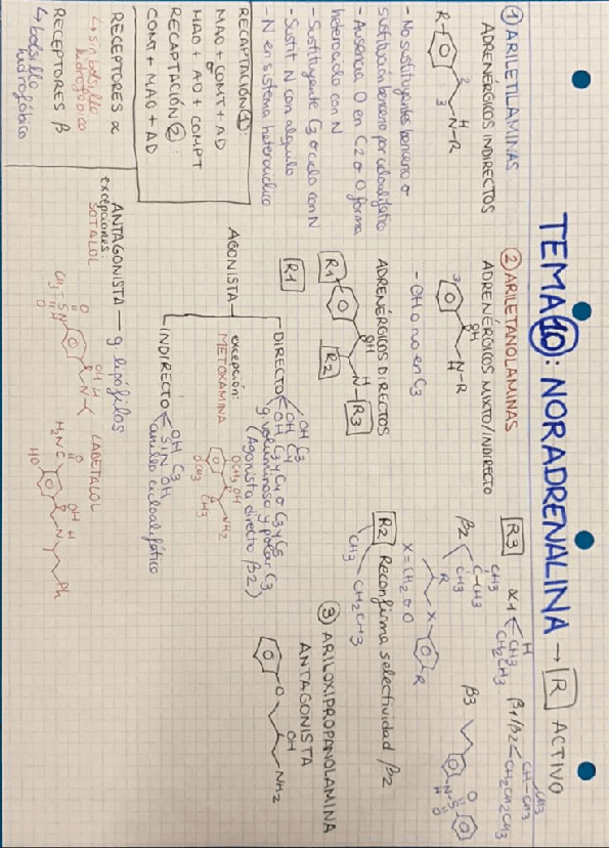 Miniatura del documento TEMA-10.pdf
