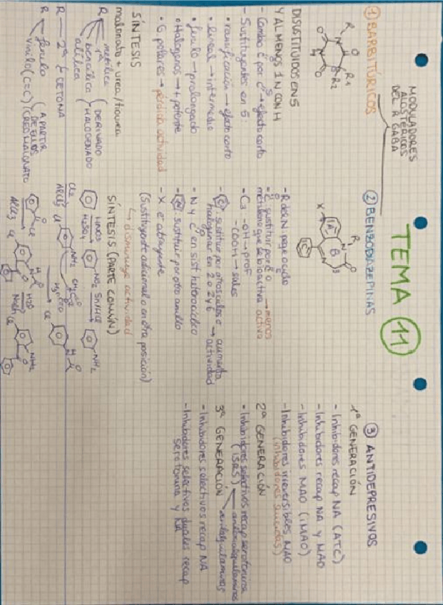 Miniatura del documento TEMA-11.pdf